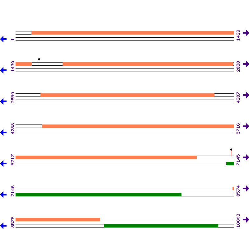 Genome View