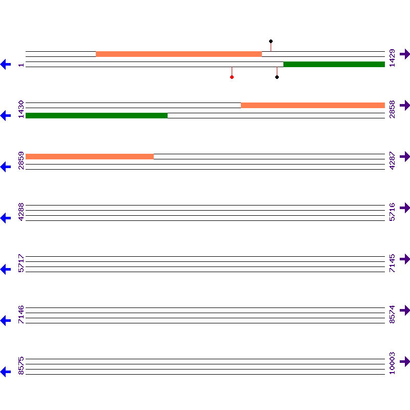 Genome View