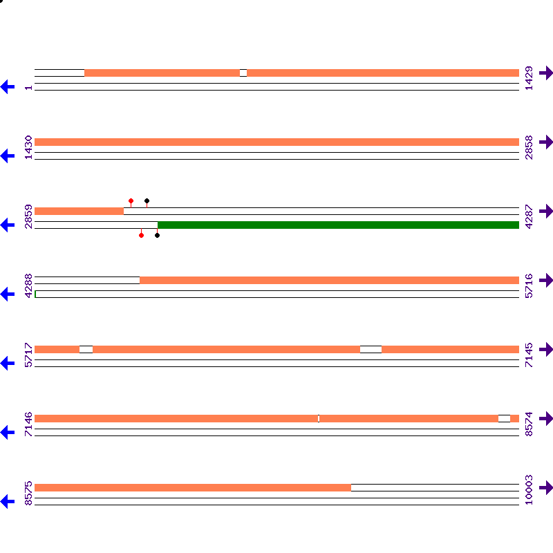Genome View