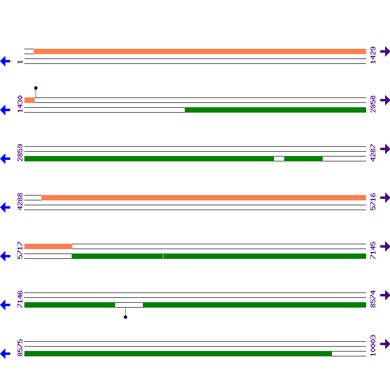 Genome View