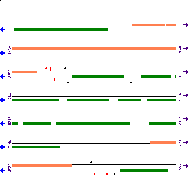 Genome View