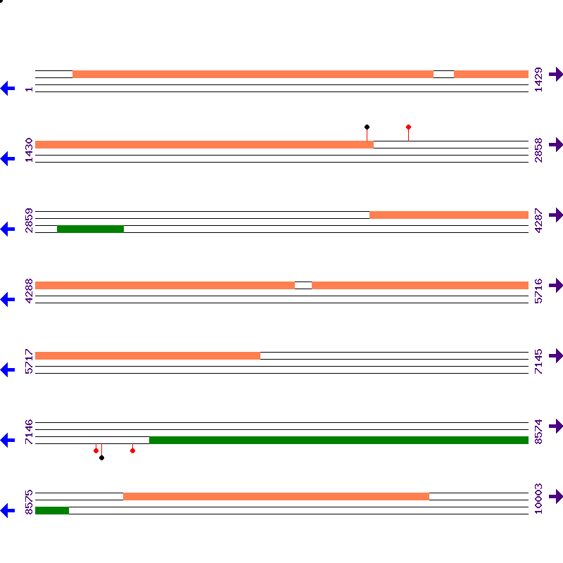Genome View