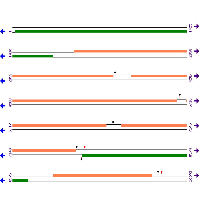 Genome View