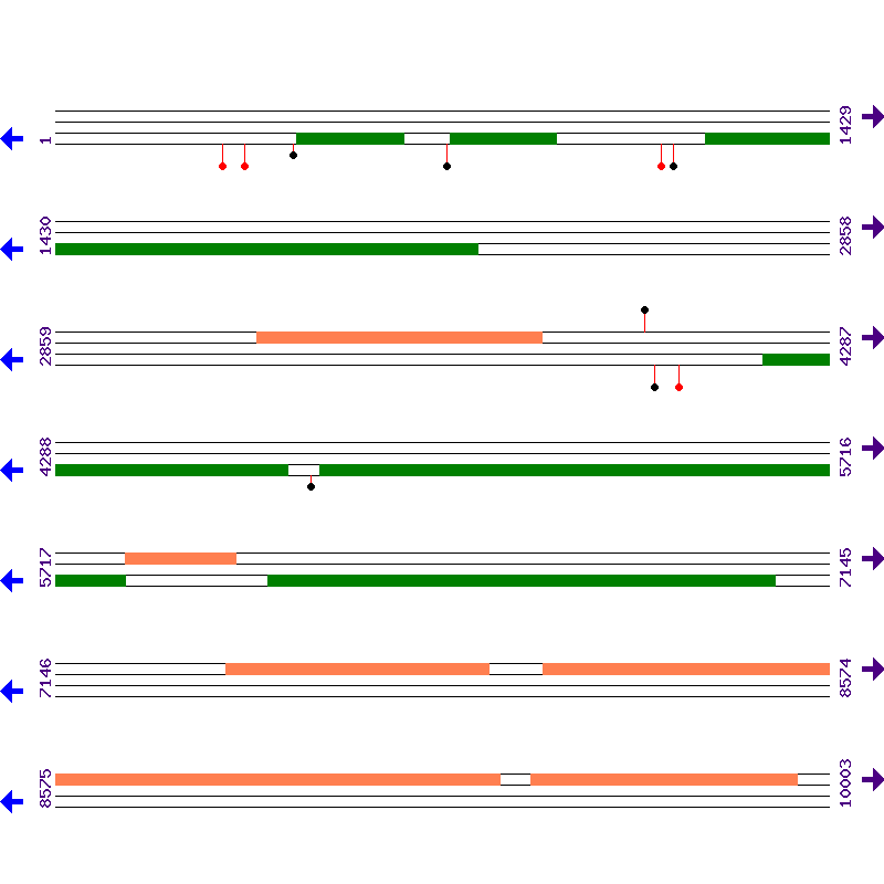 Genome View