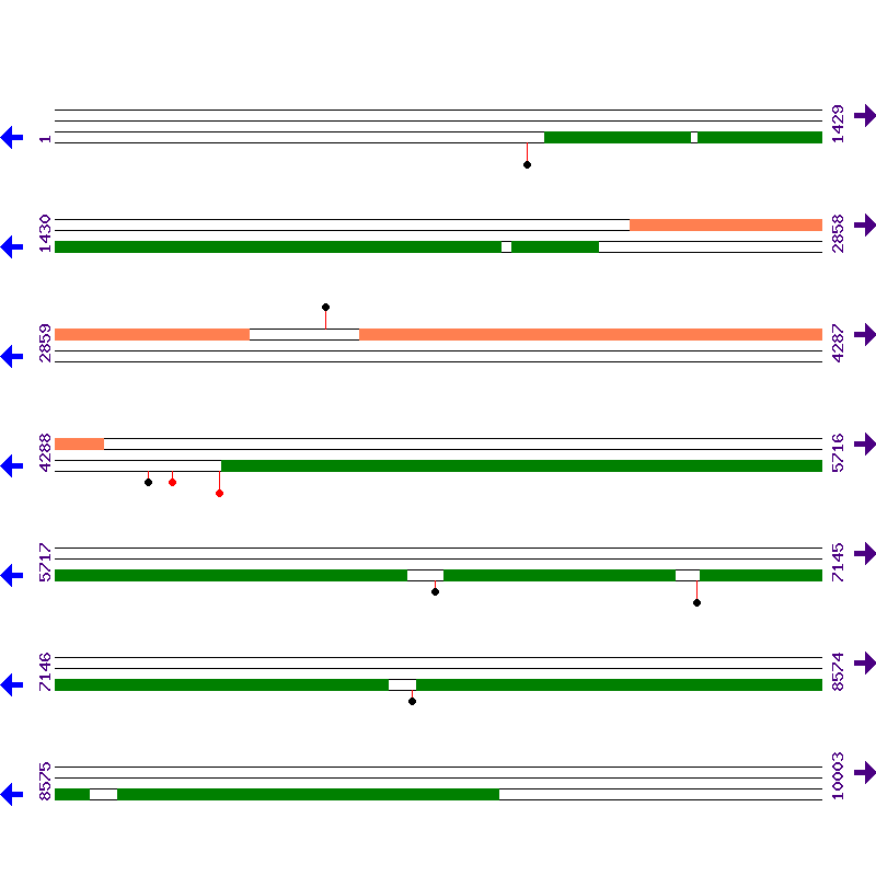 Genome View