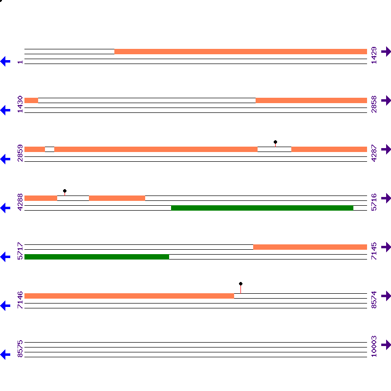 Genome View