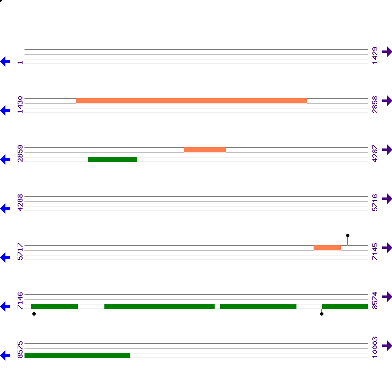 Genome View