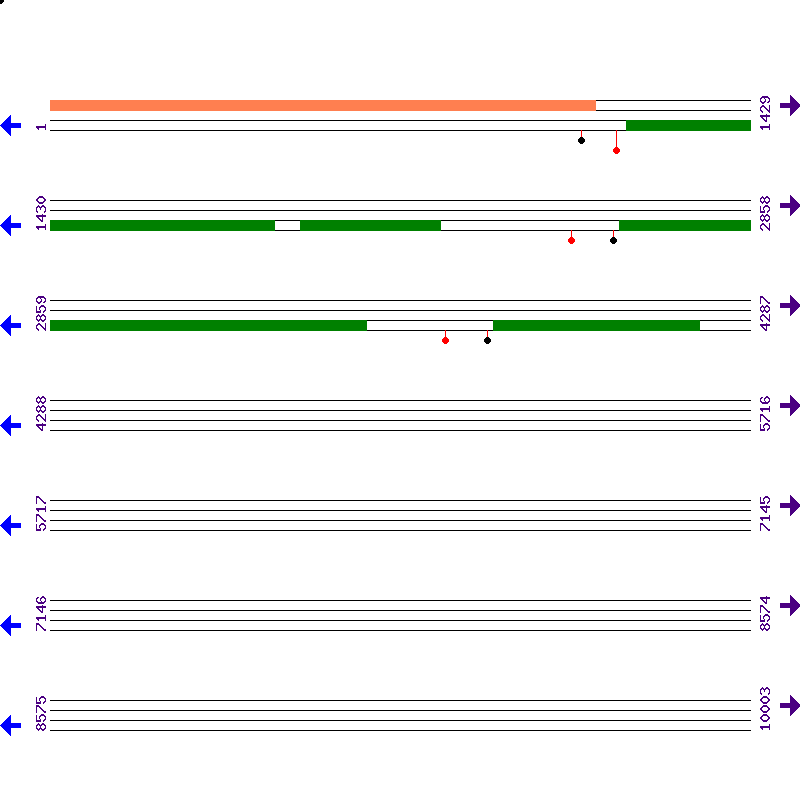 Genome View