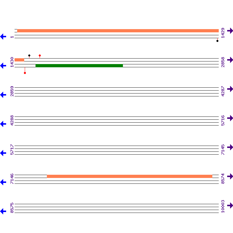 Genome View