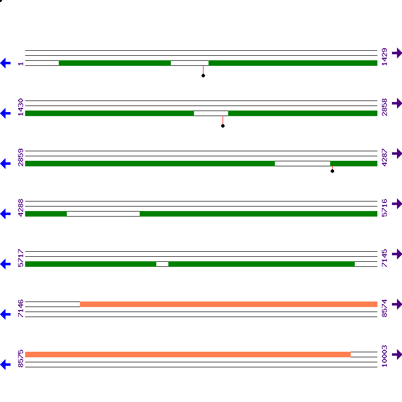 Genome View