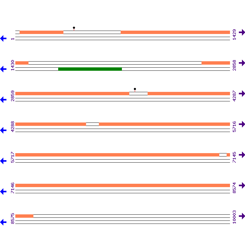 Genome View