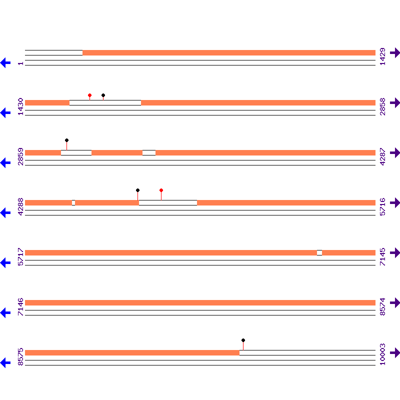 Genome View