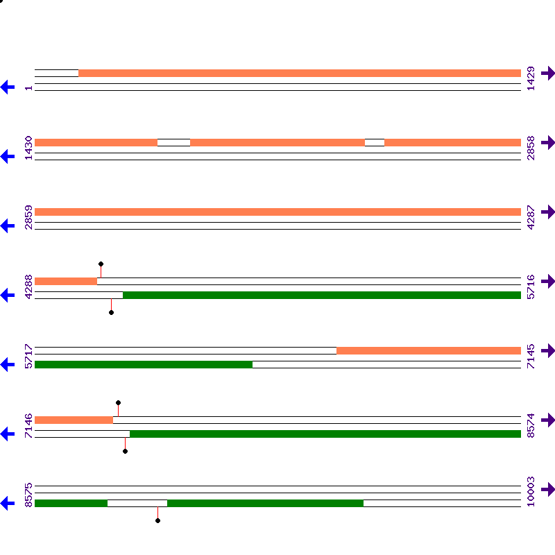 Genome View