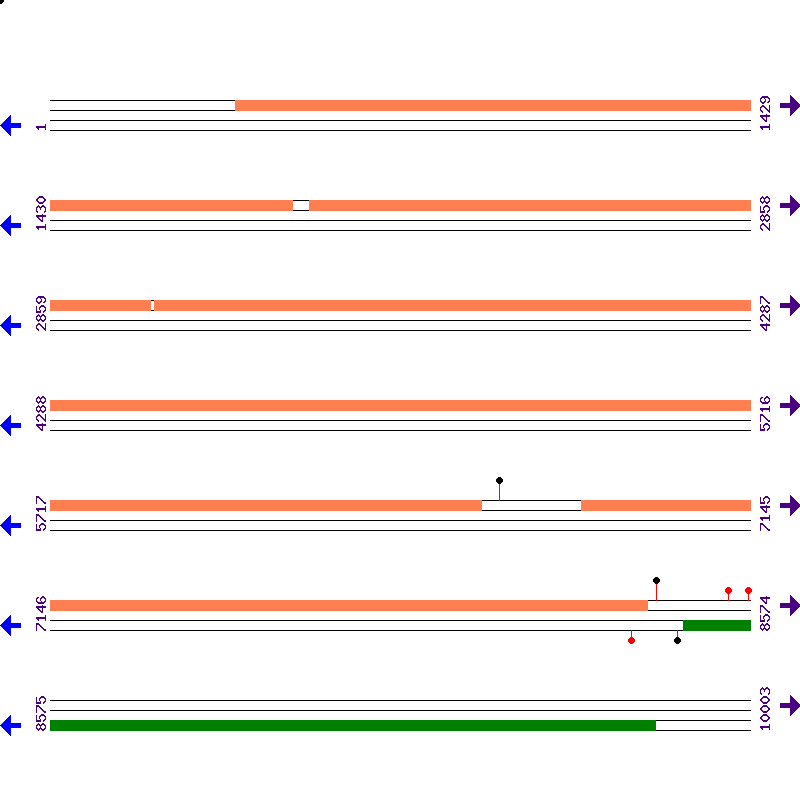 Genome View
