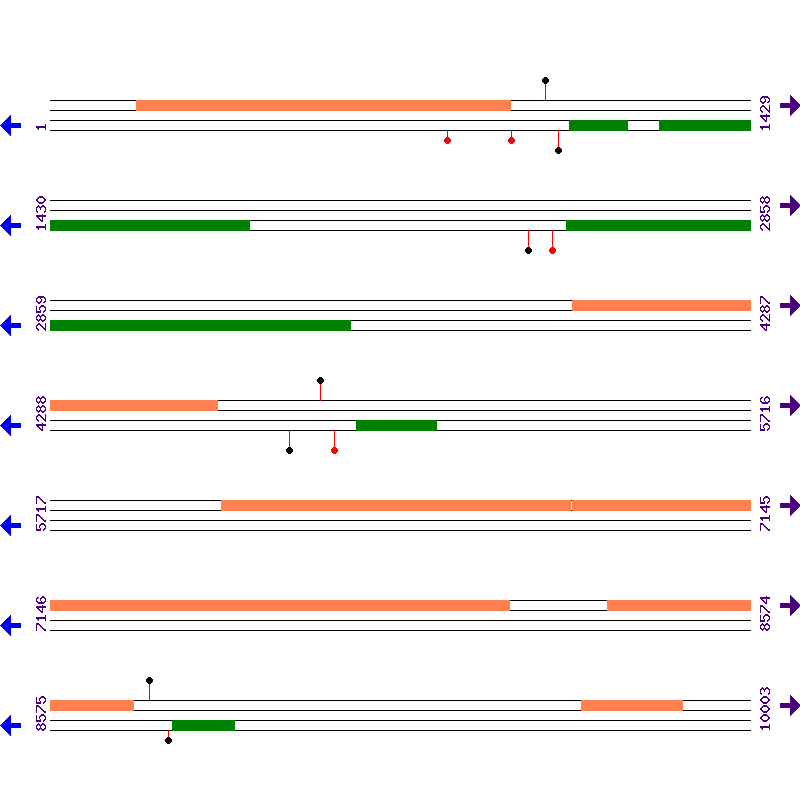 Genome View