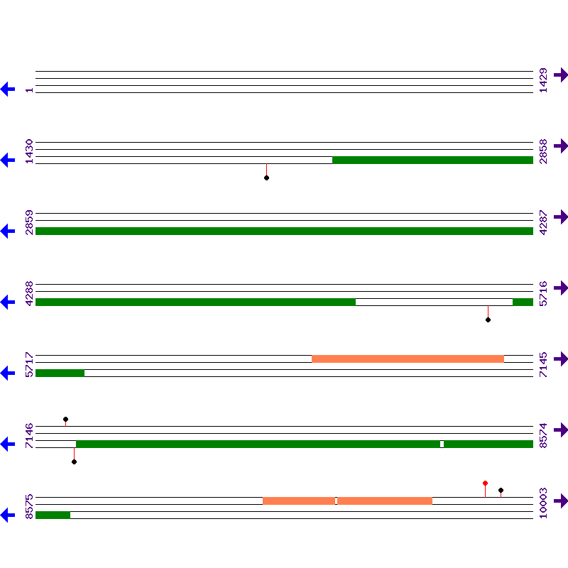 Genome View