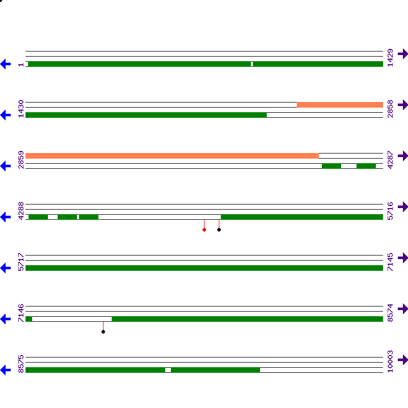 Genome View