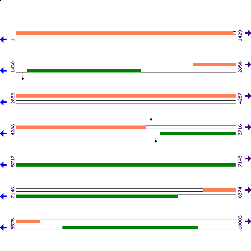 Genome View