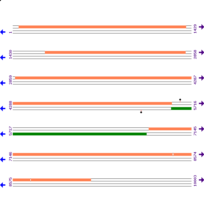 Genome View