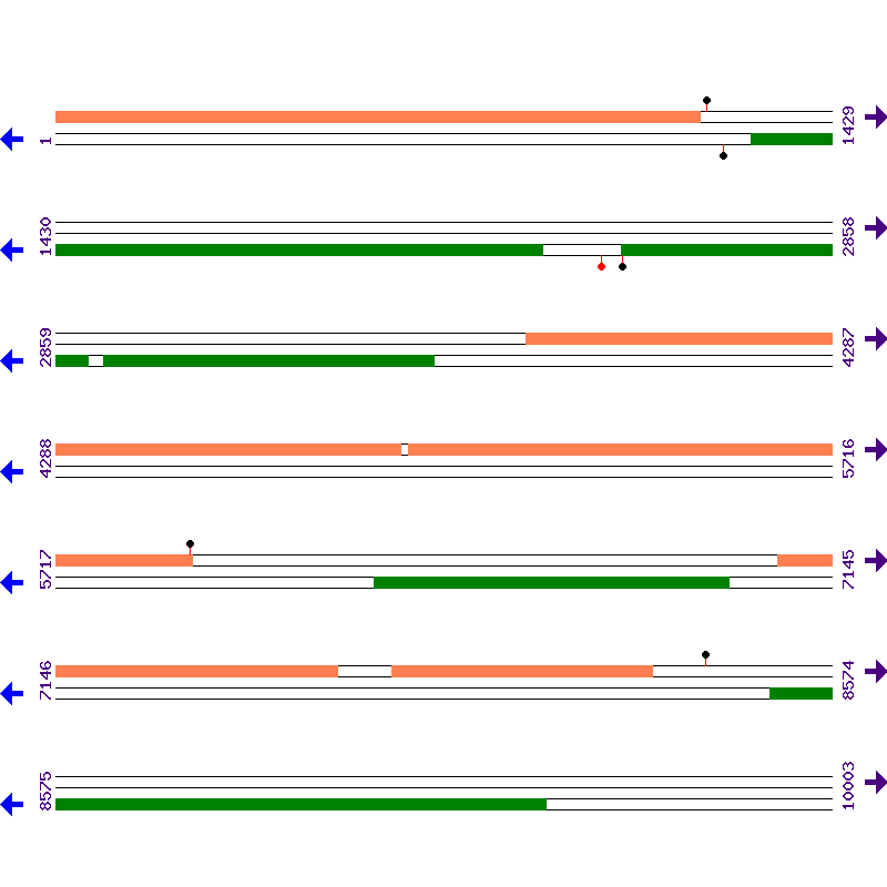 Genome View