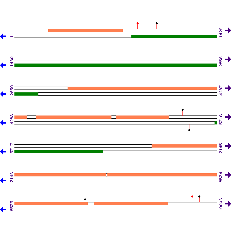 Genome View