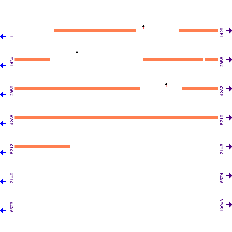 Genome View