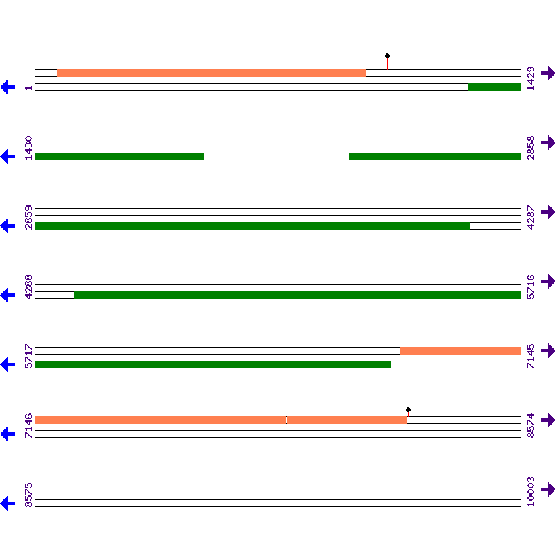 Genome View