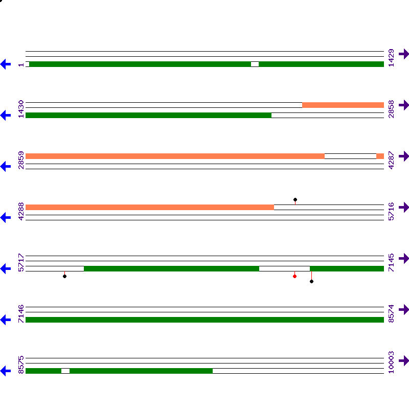 Genome View