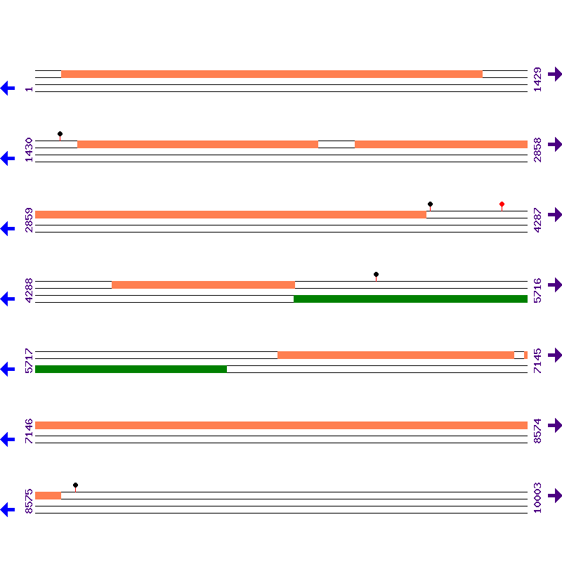 Genome View