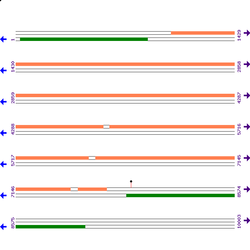 Genome View