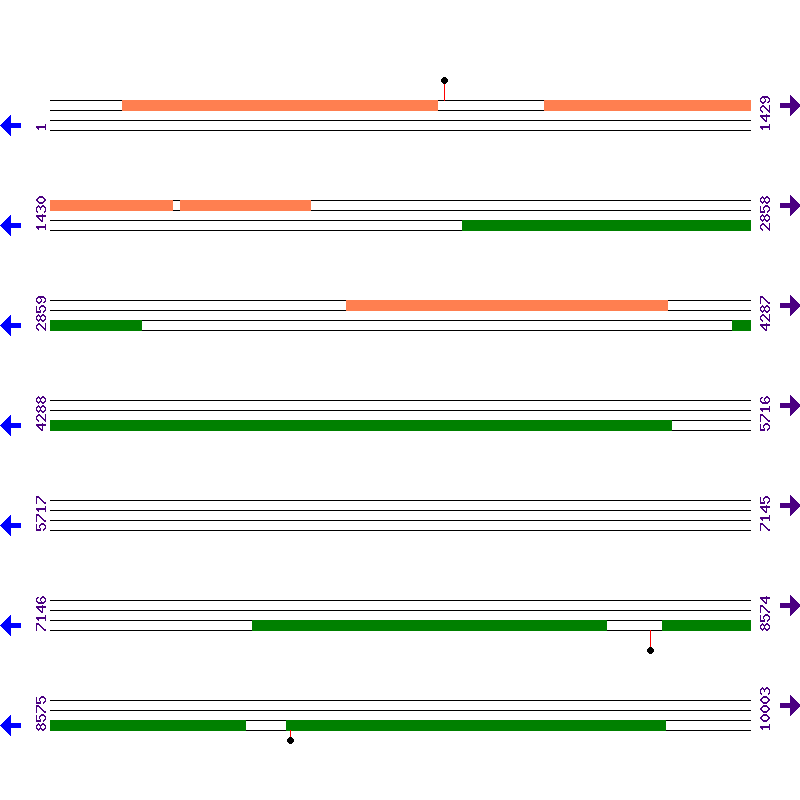 Genome View
