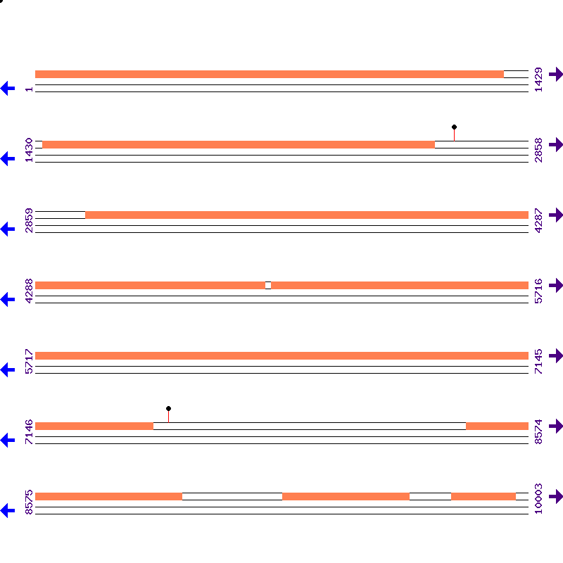 Genome View