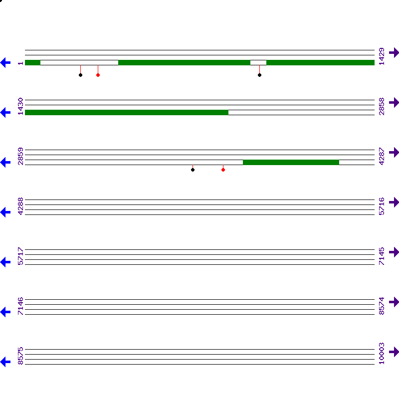 Genome View