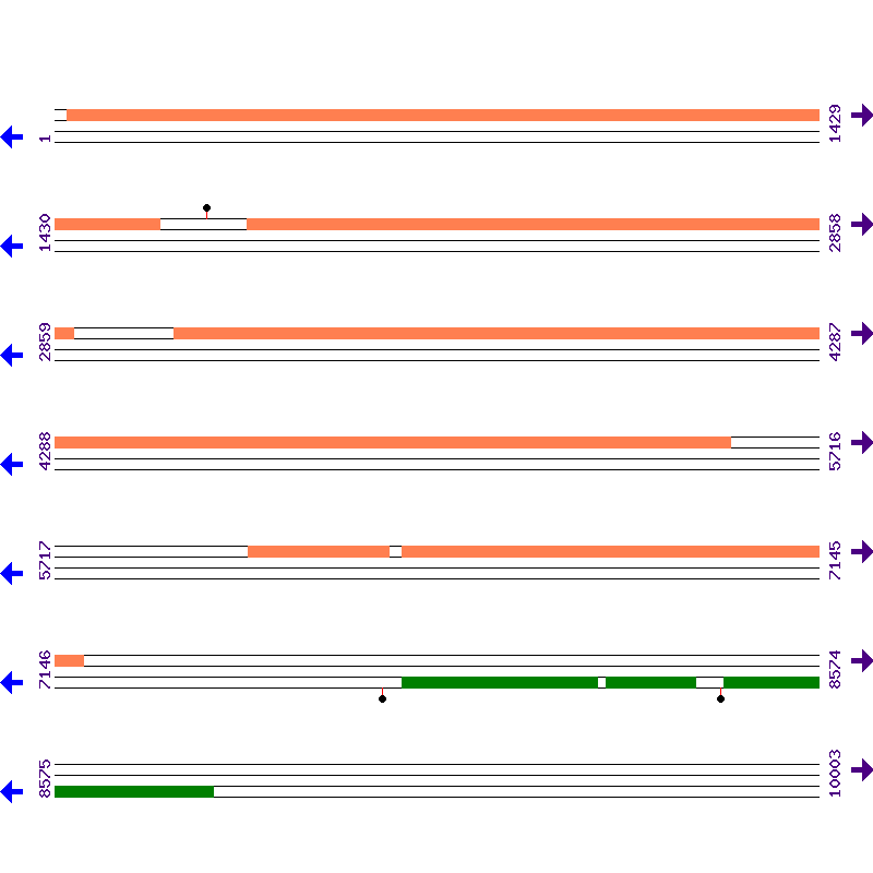 Genome View