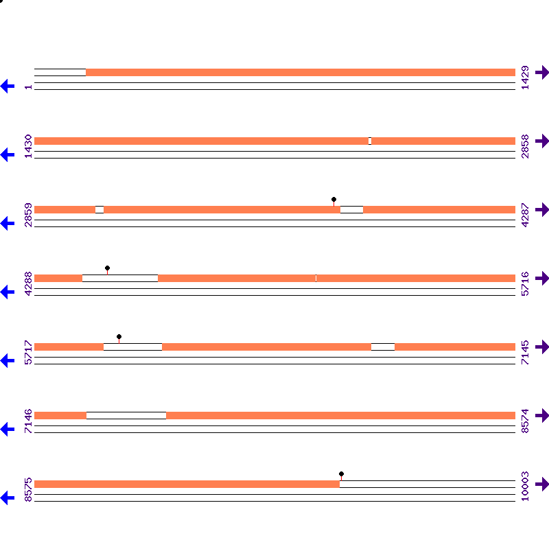 Genome View