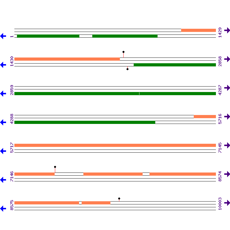 Genome View