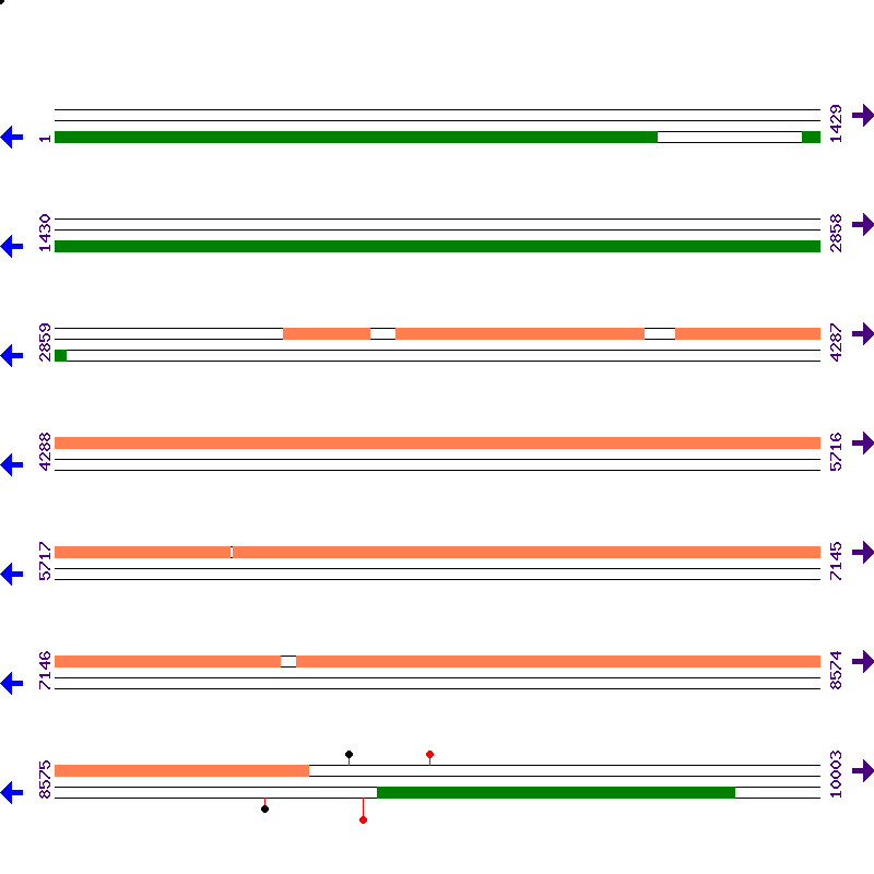 Genome View