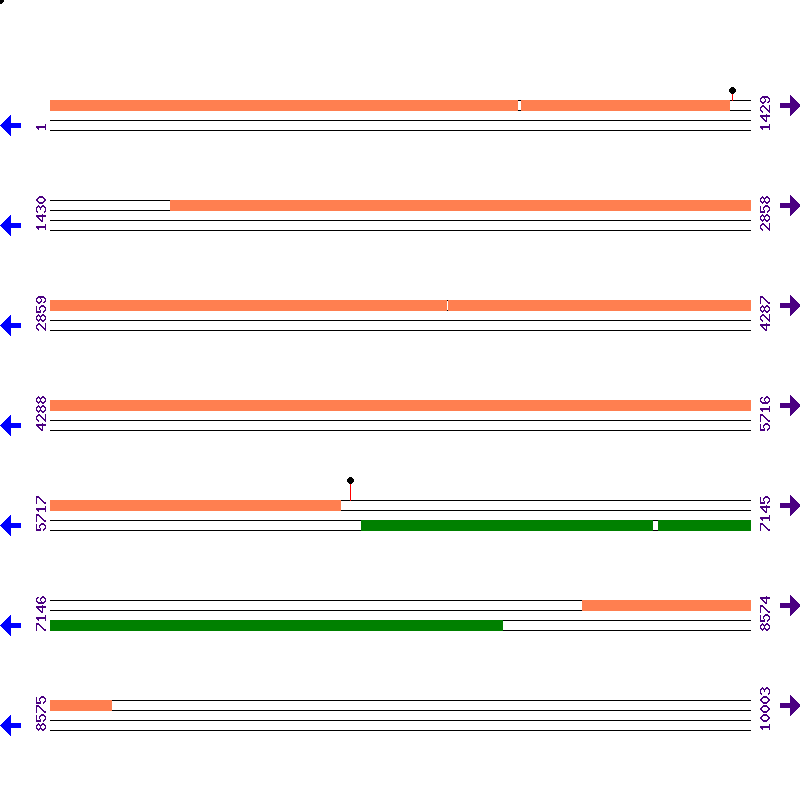 Genome View