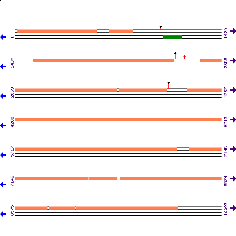 Genome View