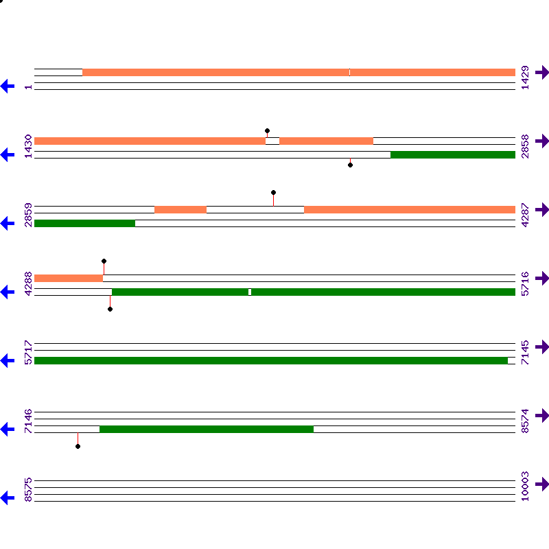 Genome View
