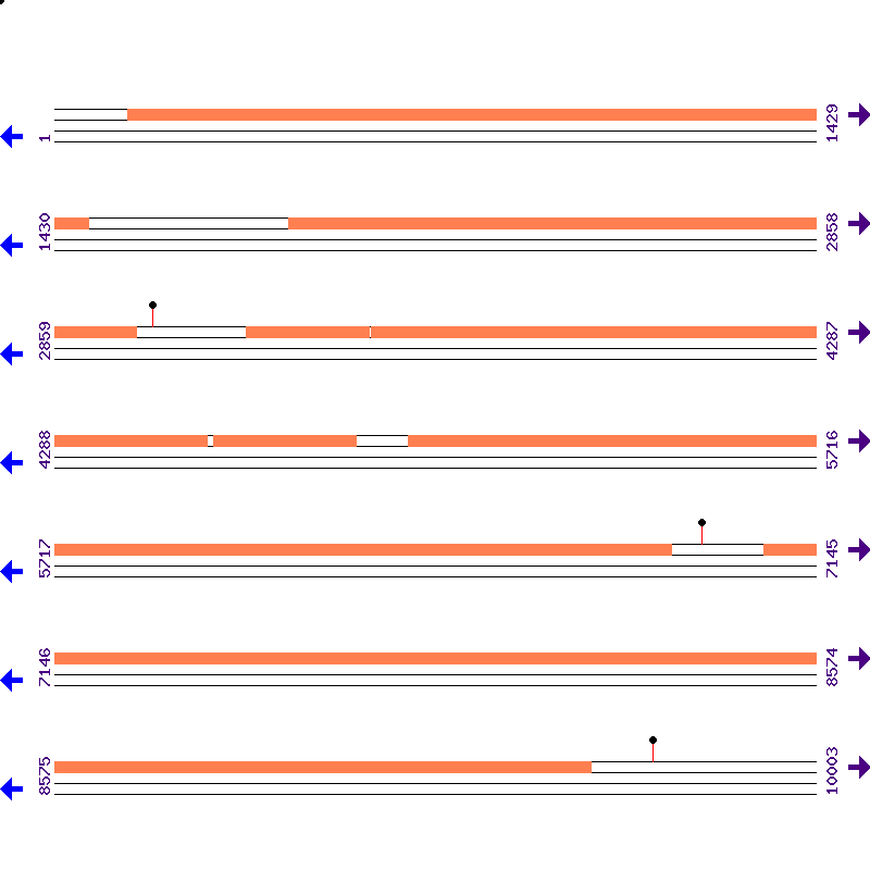Genome View