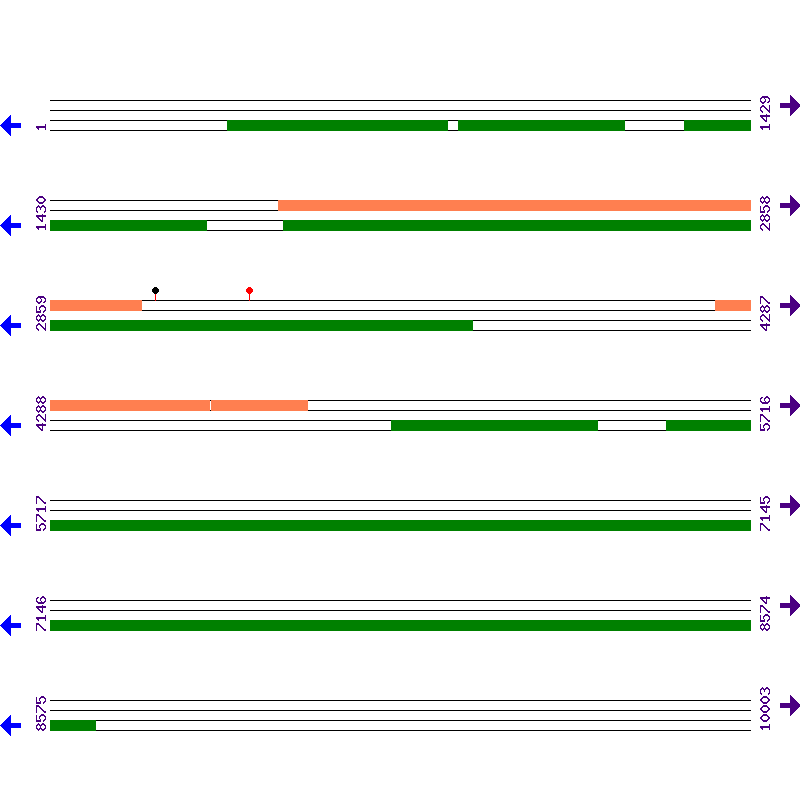 Genome View