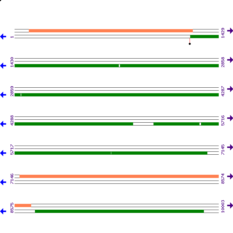Genome View