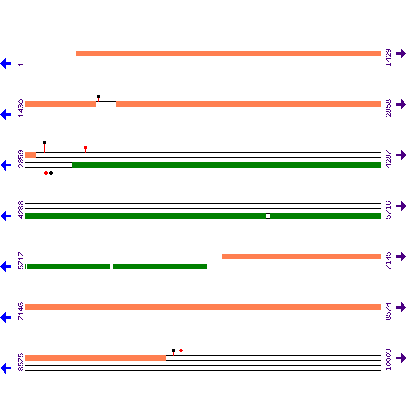 Genome View