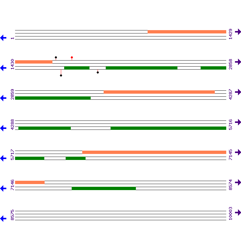 Genome View