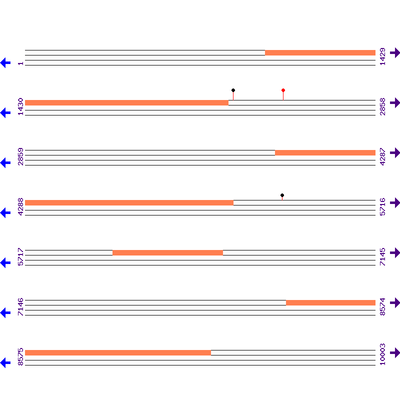Genome View