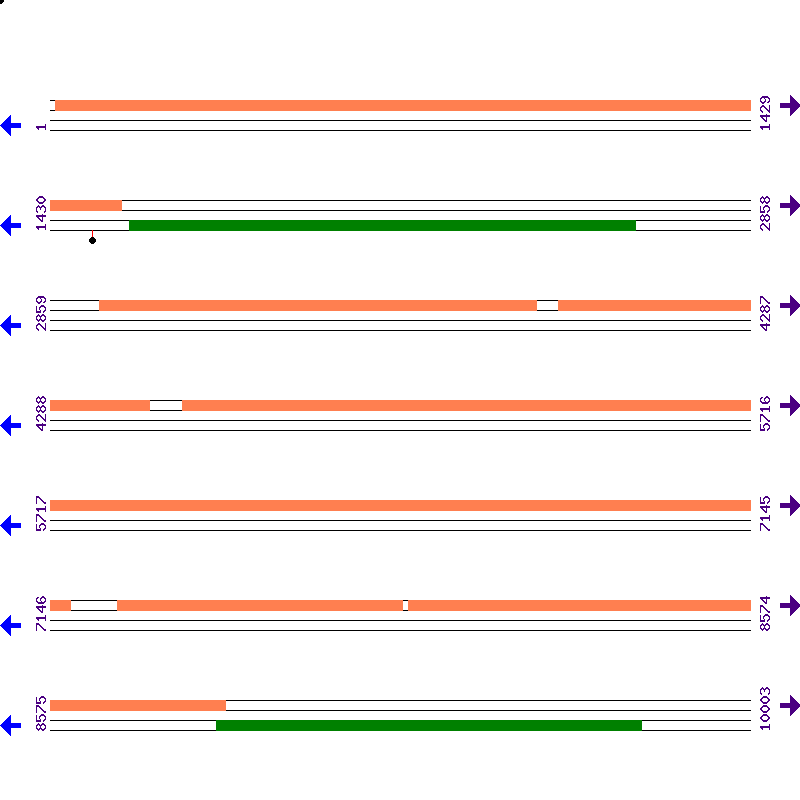 Genome View
