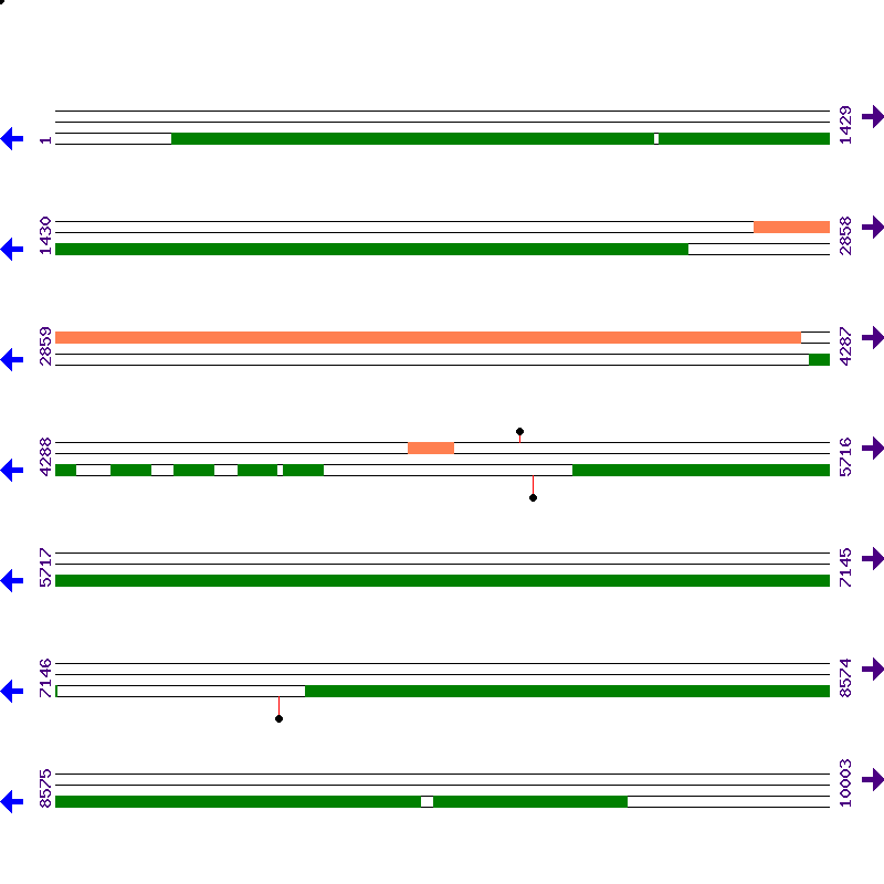 Genome View