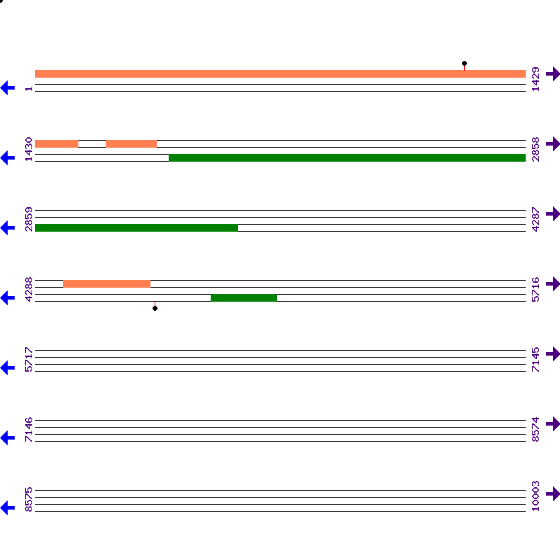 Genome View