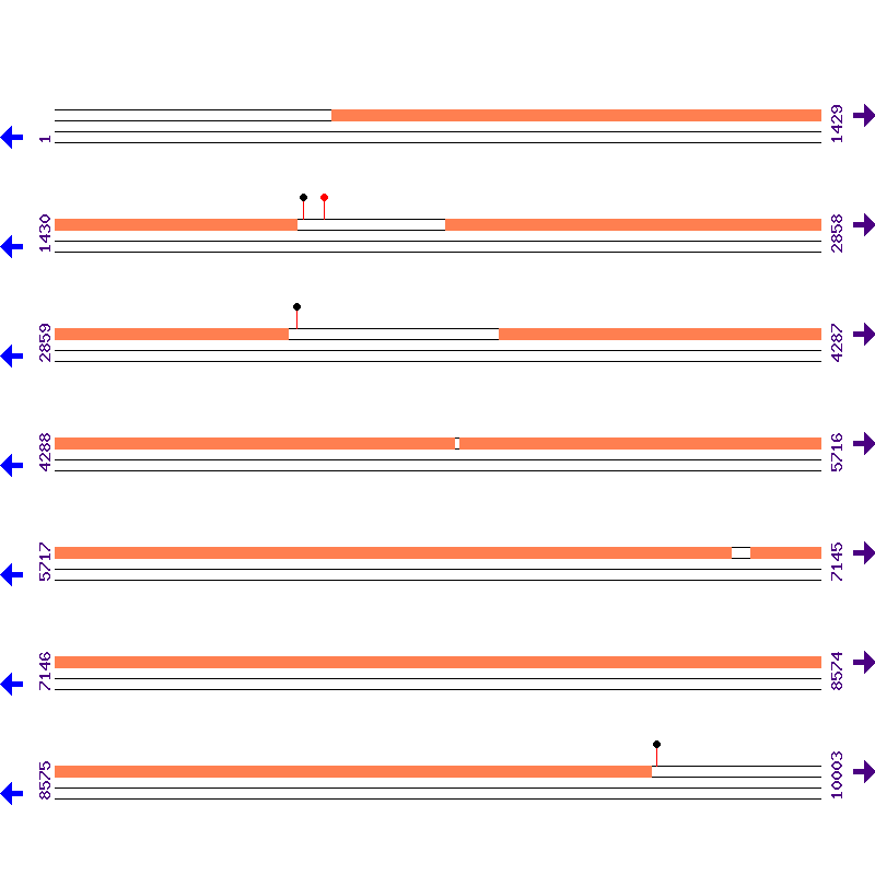 Genome View